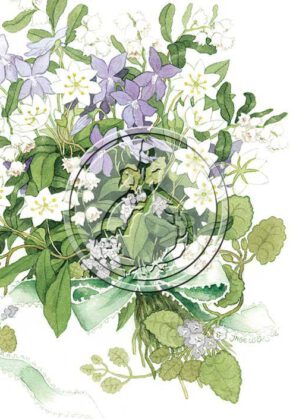 Large card (A4) number 601